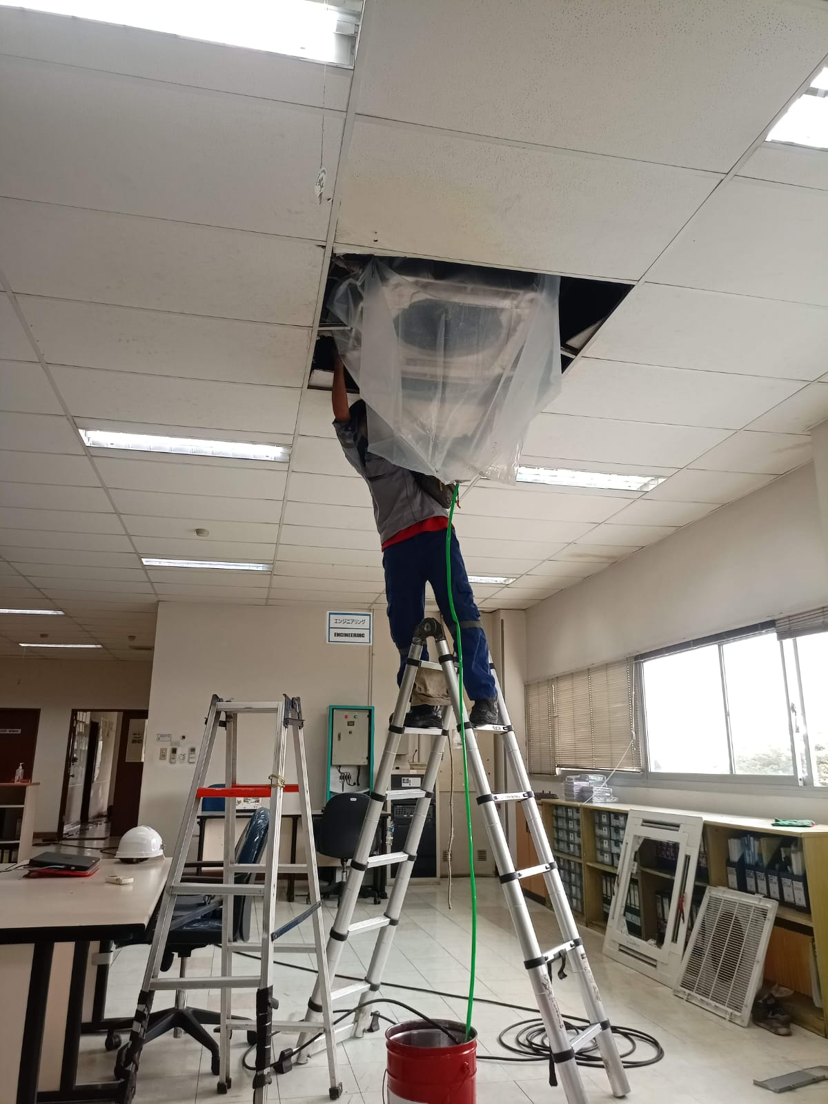AC Standing Gree 5 PK